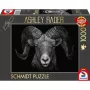 Ashley Rader: Dominance - Widder, Im Zeichen des Feuers, puzzle 1000 dielikov