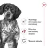 ROYAL CANIN SHN Medium Adult konzerva 410 g