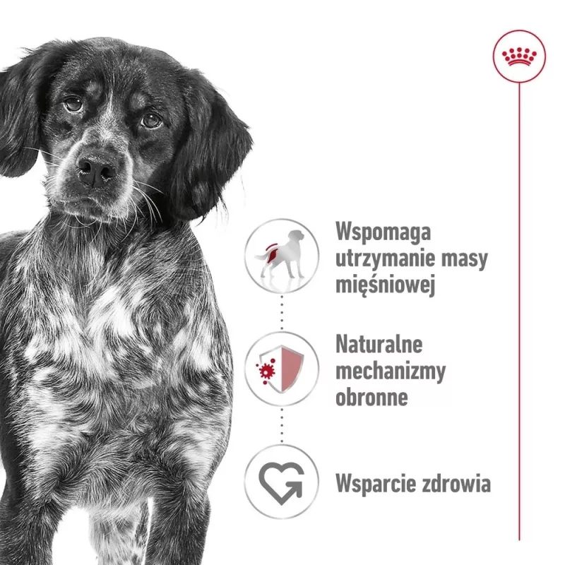 ROYAL CANIN SHN Medium Adult konzerva 410 g