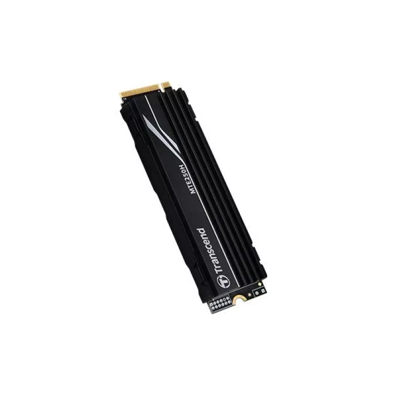 SSD disk Transcend 1 TB M.2 2280 PCIe Gen4x4 NVMe s DRAM a kovovým chladičom