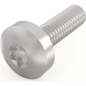 Schroff Pentair Techn. skrutka 24560-130 VE100 (24560130)
