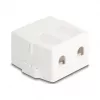 Delock 85843 Prázdne puzdro Keystone, 2-portové, s magnetickou základňou, biele