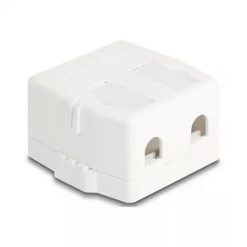 Delock 85843 Prázdne puzdro Keystone, 2-portové, s magnetickou základňou, biele