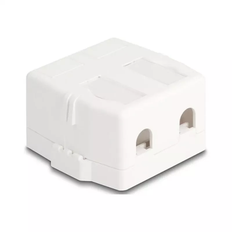 Delock 85843 Prázdne puzdro Keystone, 2-portové, s magnetickou základňou, biele