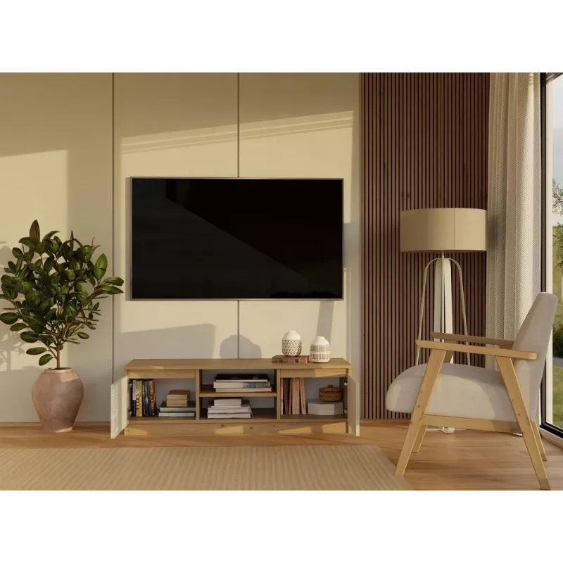 MALWA 120 TV skrinka, Artisan dub/kašmírová