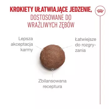 Suché krmivo pre mačky Royal Canin FHN Ageing Sterilised 11+ hydina 4 kg, 30 % bielkovín, 12,5 % tuku