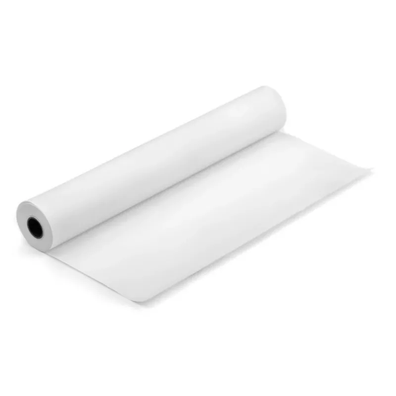 Termálny rolkový papier 210 mm x 30 m (záruka stálosti obrazu 7 rokov)
