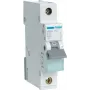 Istič Hager MBN110 1P, 10 A, 50–60 Hz