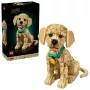 LEGO ICONS 11384 Šteniatko zlatého retrievera