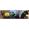 LED obojok Anicoll zelený pre psy a mačky model nabíjateľné osvetlenie