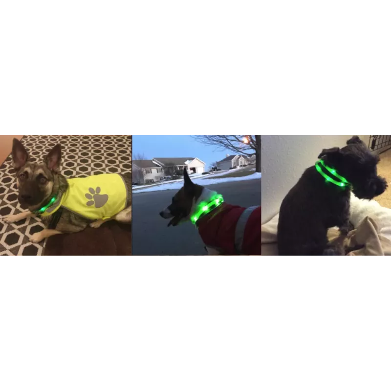 LED obojok Anicoll zelený pre psy a mačky model nabíjateľné osvetlenie