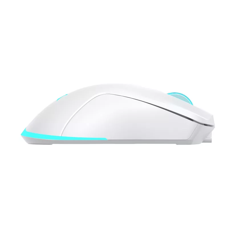 Myš Baracuda BGM-122 Turtle biela TURTLE-W