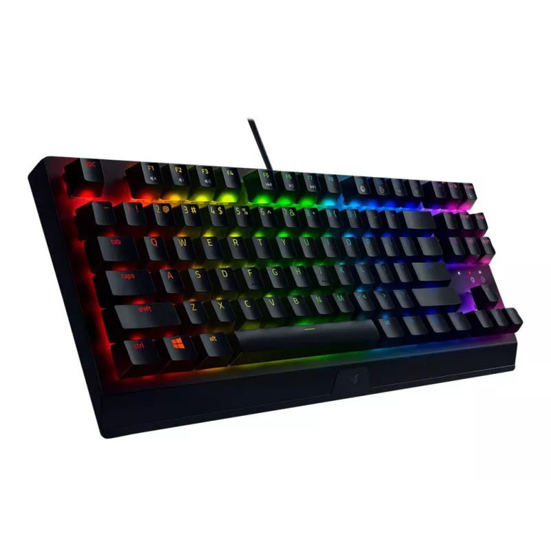 RAZER BlackWidow V3 Tenkeyless Green Switch - US Layout klávesnica