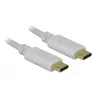Delock - USB-C/napájací kábel - 24-pinový USB-C konektor samec na 24-pinový USB-C konektor samec - 5 A - 15 cm - USB napájanie (100 W), podporuje Power Delivery 2.0 - biely (85357)