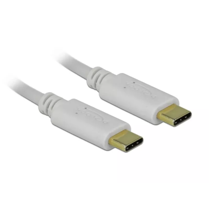 Delock - USB-C/napájací kábel - 24-pinový USB-C konektor samec na 24-pinový USB-C konektor samec - 5 A - 15 cm - USB napájanie (100 W), podporuje Power Delivery 2.0 - biely (85357)