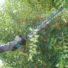 Makita UH007GD201 nožnice na živý plot dvojitý nôž 5,2 kg