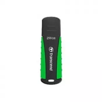 USB flash disk Transcend 256 GB USB Type-A 3.2 Gen 1 JetFlash 810