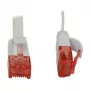 Synergy 21 S216170V2 sieťový kábel 0,25 m Cat6 U/UTP (UTP) biely (S216170V2)