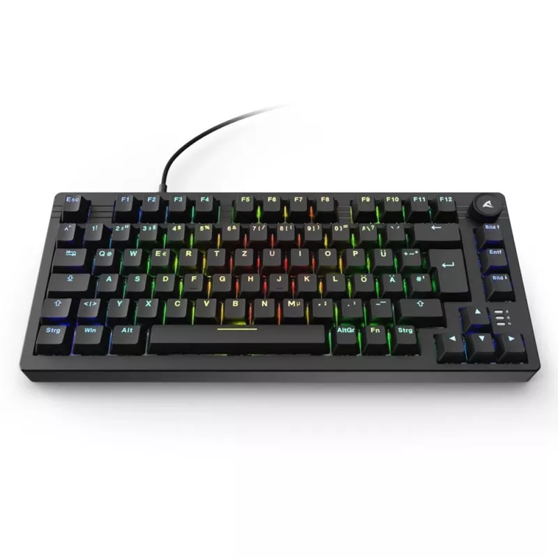 Sharkoon SGK25 klávesnica Home USB QWERTZ nemecká čierna 75% RGB LED