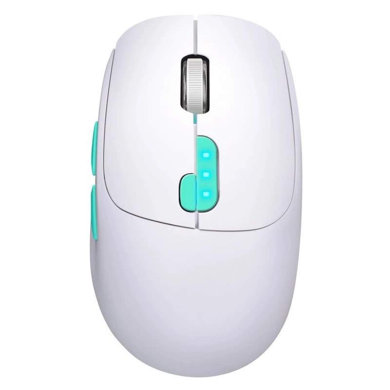 Myš Defender NITTA MM-307 RF+BT OPTICKÁ 1600dpi 6T BIELA