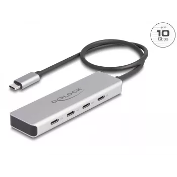 DeLOCK USB Type-C hub 10 Gbps 4 porty hliník sivý