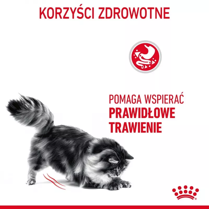 Suché krmivo pre mačky Royal Canin Digestive Care 4 kg — dospelé mačky, hydina, podpora trávenia