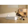 Samočistiaca toaleta pre mačky PETKIT T7-EU, biela