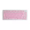 Glorious PC Gaming Race GMMK ABS Doubleshot V2 UK základná sada - ružová (GLO-KC-ABS-UKKIT-P)