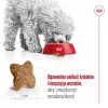 ROYAL CANIN Adult Mini S - suché krmivo pre psov - 2 kg