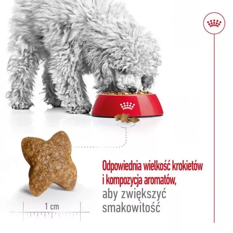 ROYAL CANIN Adult Mini S - suché krmivo pre psov - 2 kg