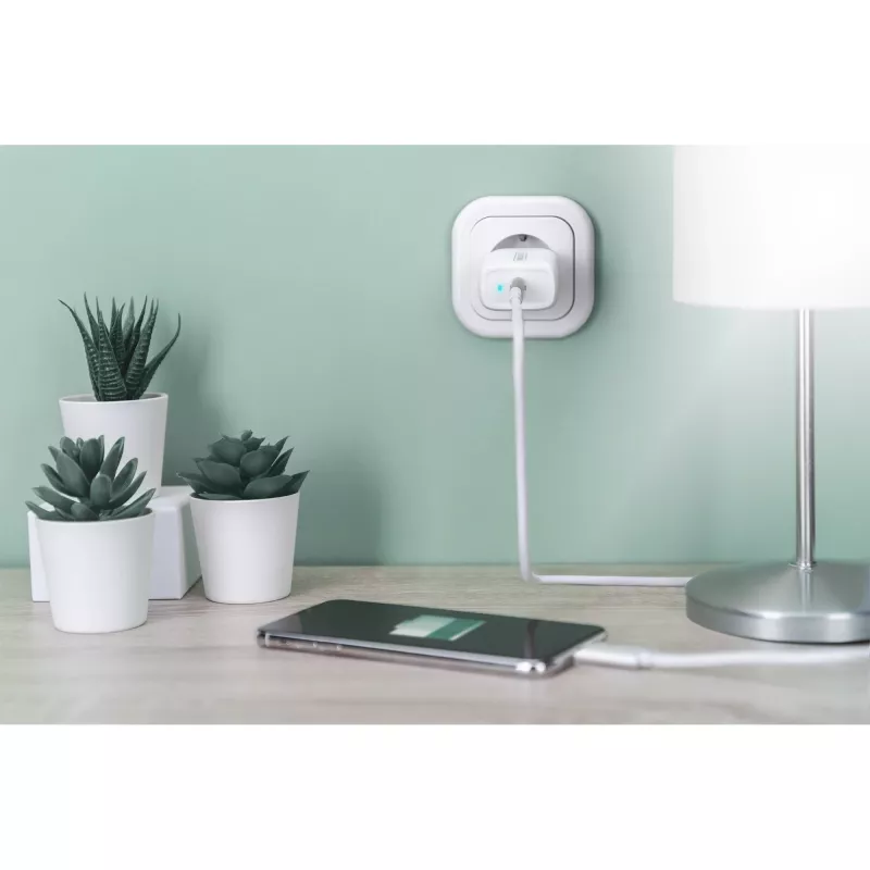 Digitus - napájací zdroj - 20 watt - 3 A - PD 3.0 (USB-C) - biely (DA-10196)