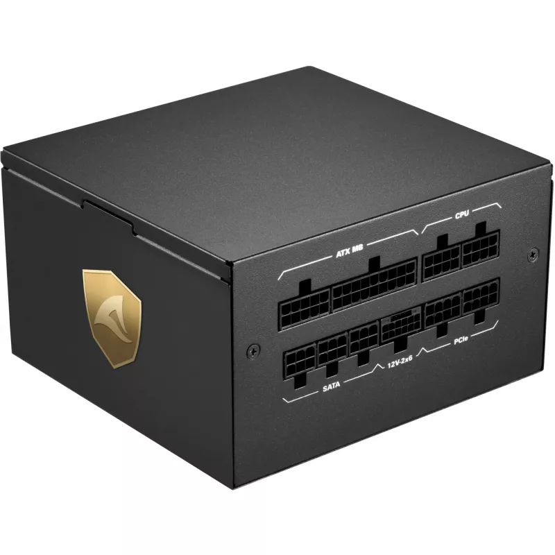 Sharkoon Rebel P20 napájací zdroj 1000 W 24-pin ATX ATX čierny