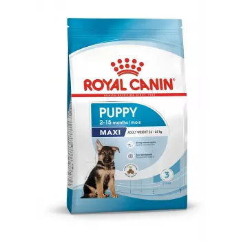 Suché krmivo pre psov Royal Canin Maxi Puppy 15 kg — Large Breed Junior, kuracie, 30 % bielkovín, 16 % tuku