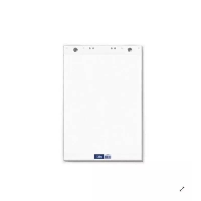 Konferenčný blok Forpus, 65x100 cm, 80 g biely (50) 0715-001