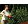 Nožnice na živý plot Black & Decker GSL300 dvojitý nôž 600g batéria 3,6V