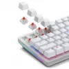 Mechanické spínače GLORIOUS Fox Heavy 5-Pin lineárny MX-kmeň 55g predomazané — 110 ks