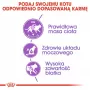 Suché krmivo pre mačky Royal Canin Sterilised 2 kg – dospelé kastrované mačky, kuracie, 37 % proteínu