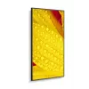 NEC MultiSync M651-2 kioskový dizajn 165,1 cm (65 palcov) LED 500 cd/m² 4K Ultra HD čierny vstavaný procesor