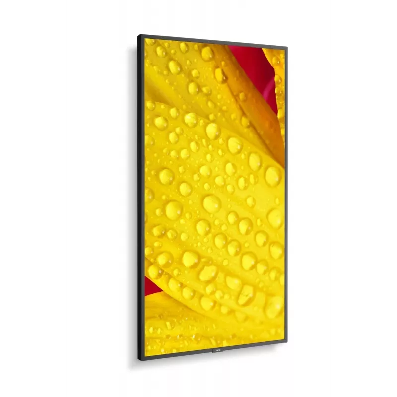 NEC MultiSync M651-2 kioskový dizajn 165,1 cm (65 palcov) LED 500 cd/m² 4K Ultra HD čierny vstavaný procesor