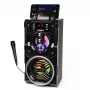 BeatBoxer Bluetooth 5.1 reproduktor - Bluetooth reproduktor s karaoke