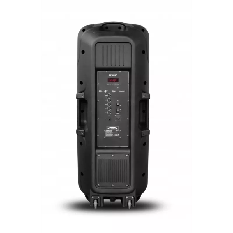 Prenosný reproduktor APA24 Bluetooth Karaoke, čierny