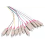 LOGON LFP035 InfiniBand/optický kábel 2 m 12x SC viacfarebný (LFP035)