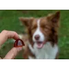 GELOREN Large dog Joints - vitamíny pre psov - 420g