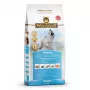 Suché krmivo pre psov Wolfsblut VetLine Weight Management morčacie — 12 kg, bez obilnín, 22 % proteínu, 8 % tuku