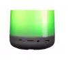 Mono prenosný reproduktor Denver BTL-311 viacfarebný