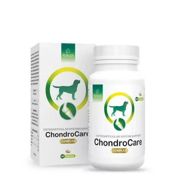POKUSA ChondroCare Complex - výživový doplnok pre psov - 120 ks