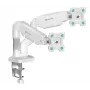 ONKRON G160-W Otočný a naklápací stolový držiak pre dva monitory 13-32 palcov, do 8 kg, biely