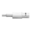 Eaton Tripp Lite Series USB-A na Lightning sync/nabíjací kábel (M/M) - MFi certifikovaný, biely, 6 ft. (1,8 m) - dátový/napájací kábel - USB samec na Lightning