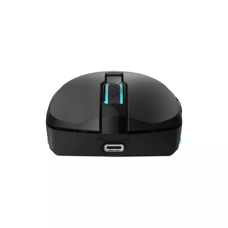 Myš Baracuda BGM-121 Turtle čierna USB