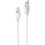 shiverpeaks BS77021 USB kábel 1 m USB 2.0 USB A USB B sivý (BS-77021)